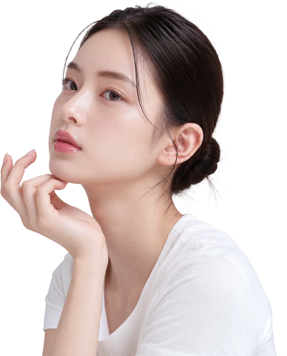 Visual utama cantuman lemak