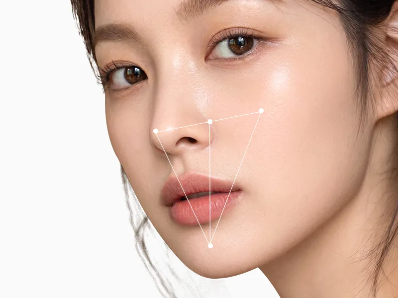 귀족보형물